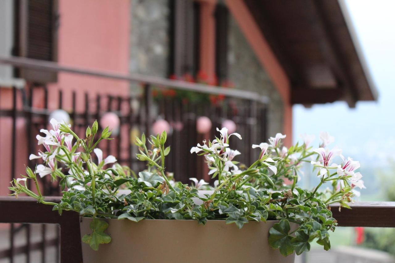 Apartment Vista Monastero 杜比诺 外观 照片